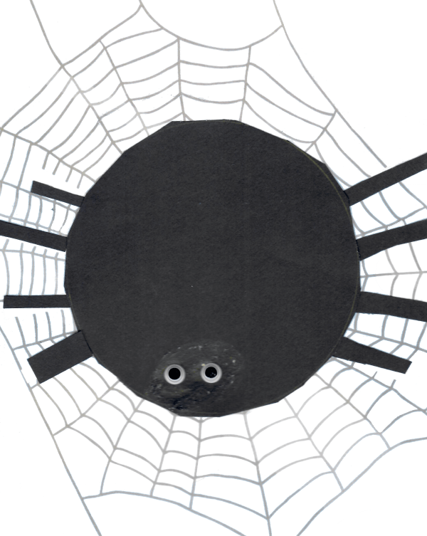 Spider